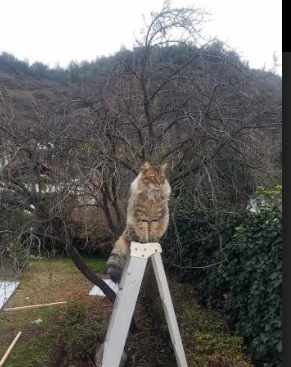 kaiyun官方网站-_虚拟现实健身房：数字时代的运动新体验_，虚拟锻炼