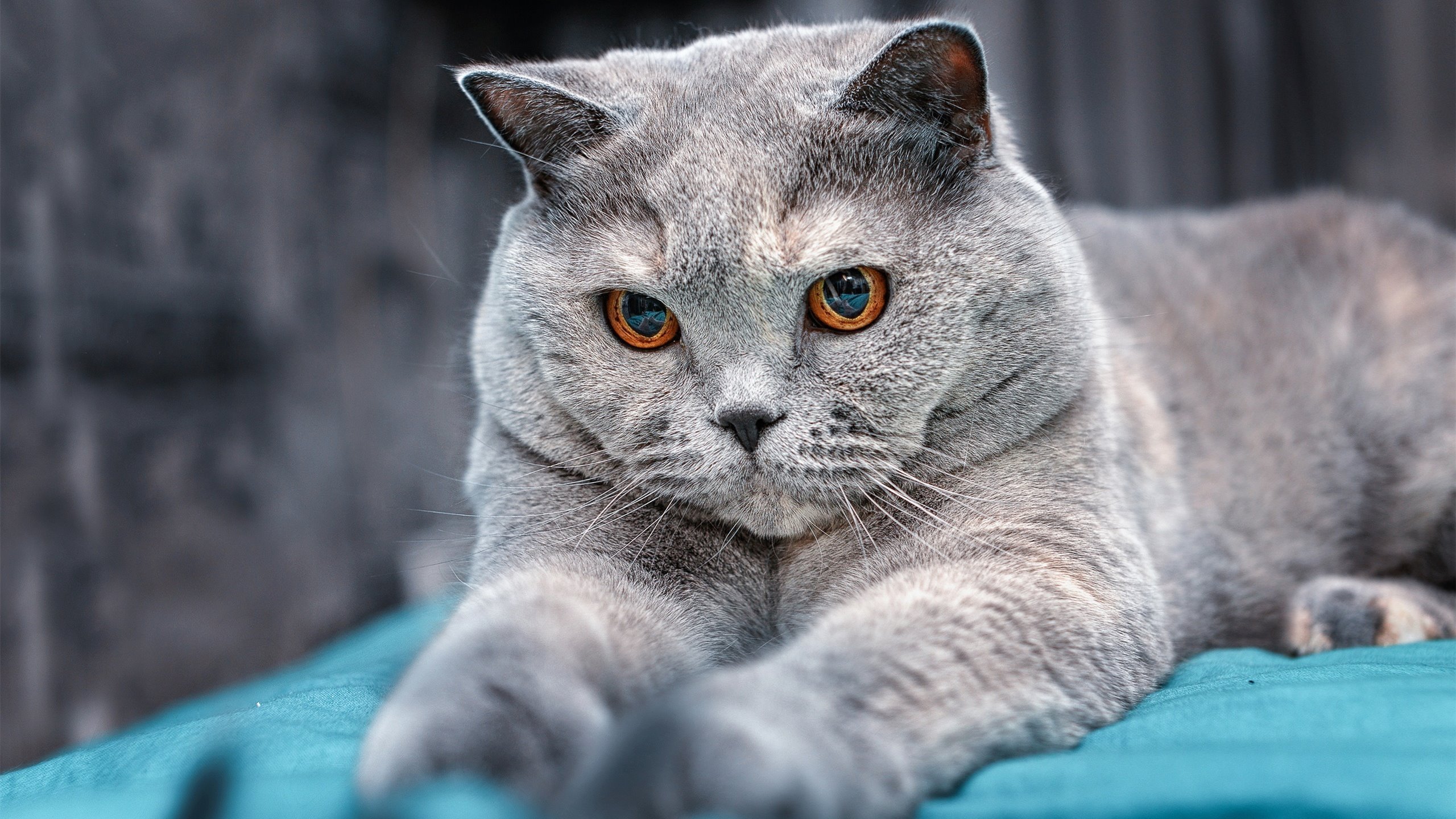 开云官方网站-_运动助贫：公益扶贫运动热潮不断_，扶贫公益活动策划方案