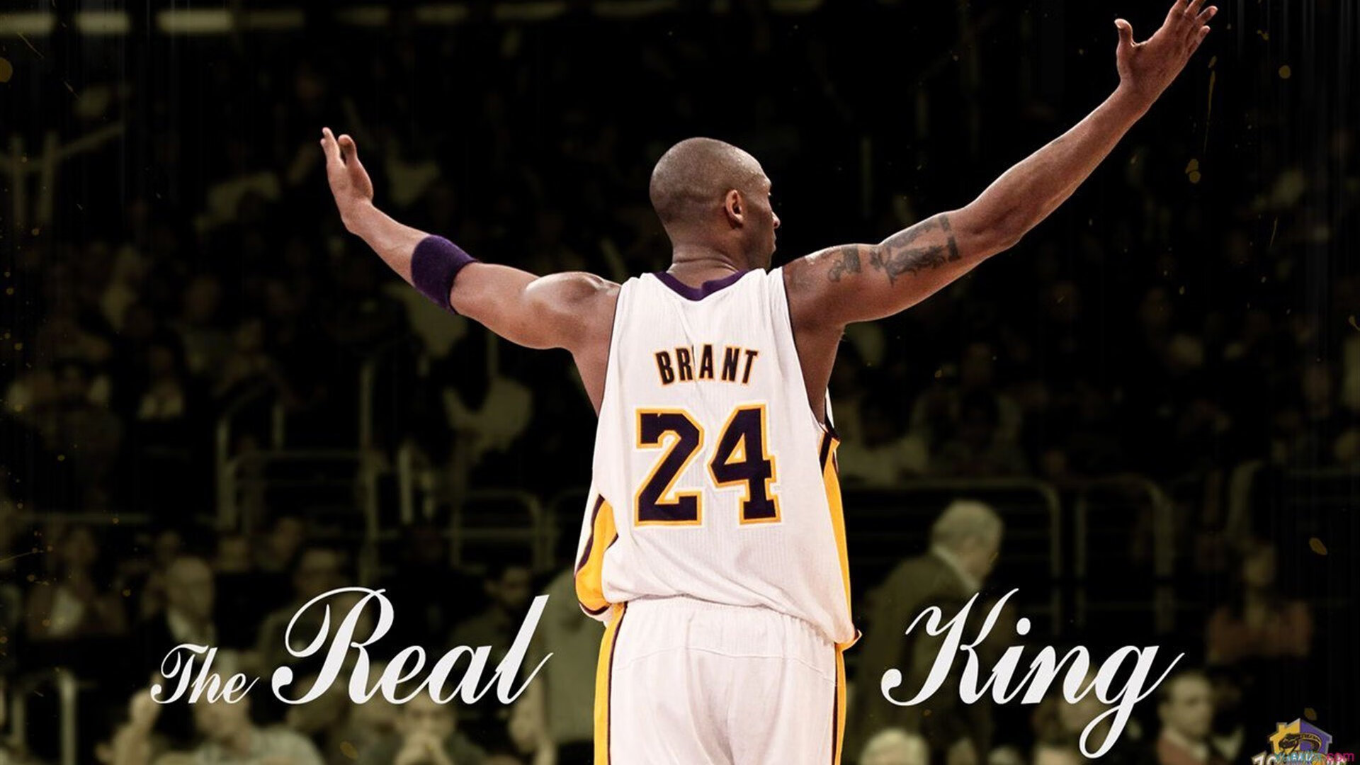 _骑士年轻核心持续爆发,未来可期_,骑士king