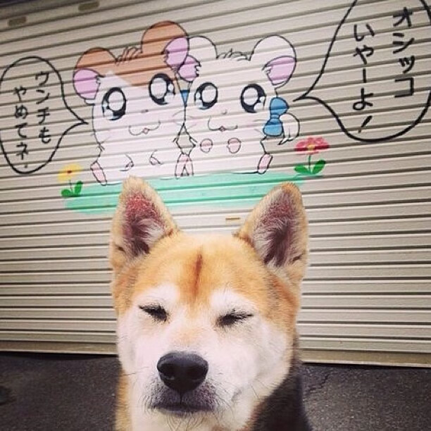 “经典比赛重温:那些年我们共同追忆的篮球瞬间”,回忆篮球比赛的句子