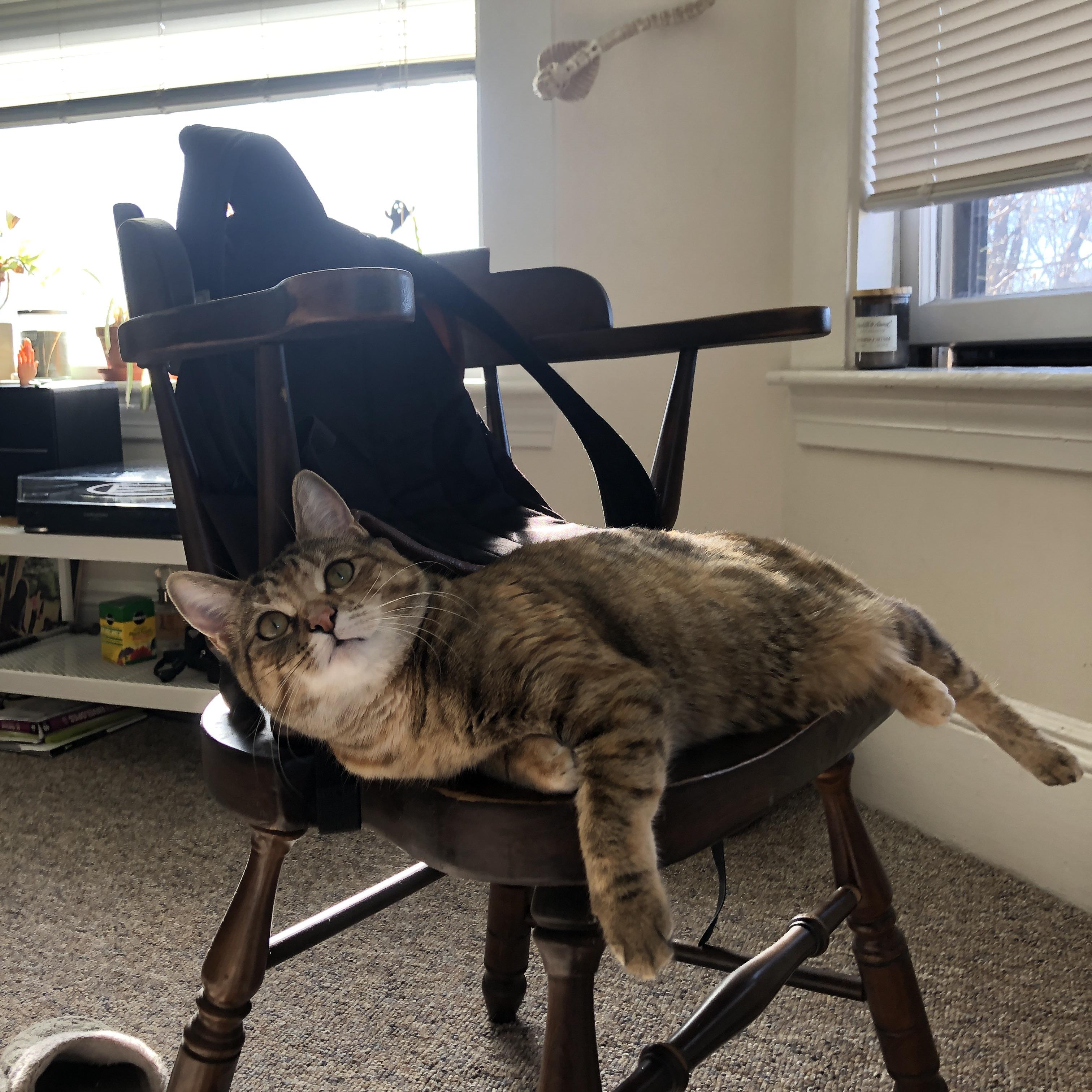 开云平台-“英超最终冲刺，领头羊全员迎战强敌”，英超榜首大战