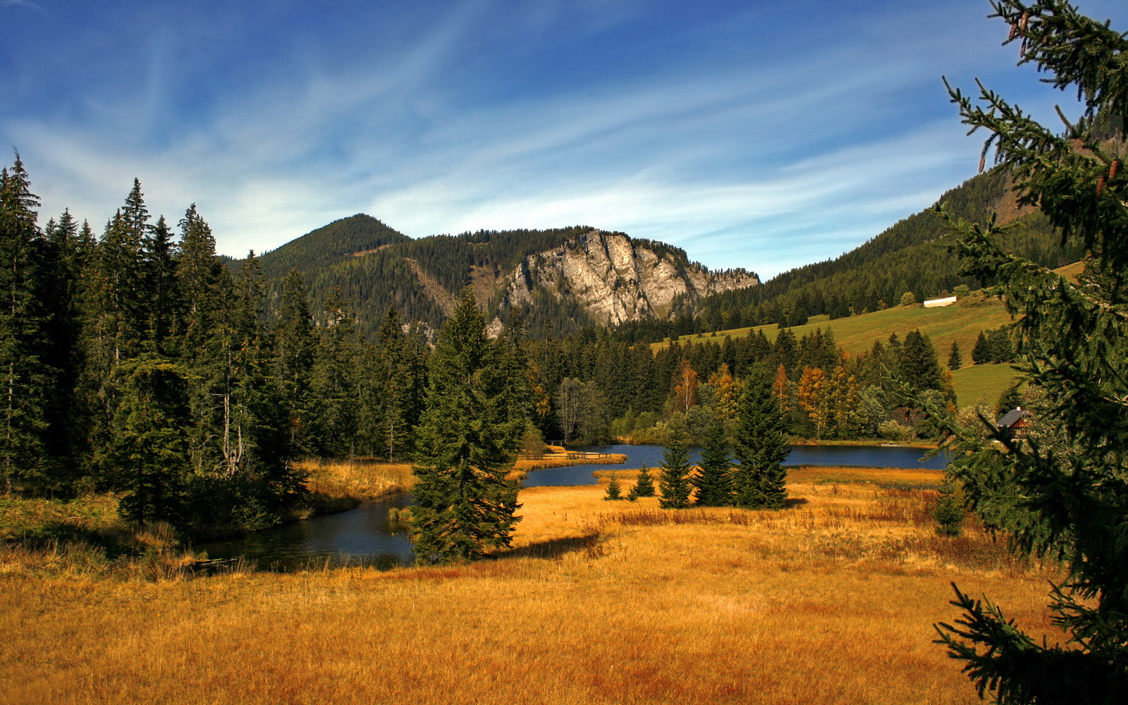 “英超新星崛起：年轻球员表现惊艳全场”，英超年轻人