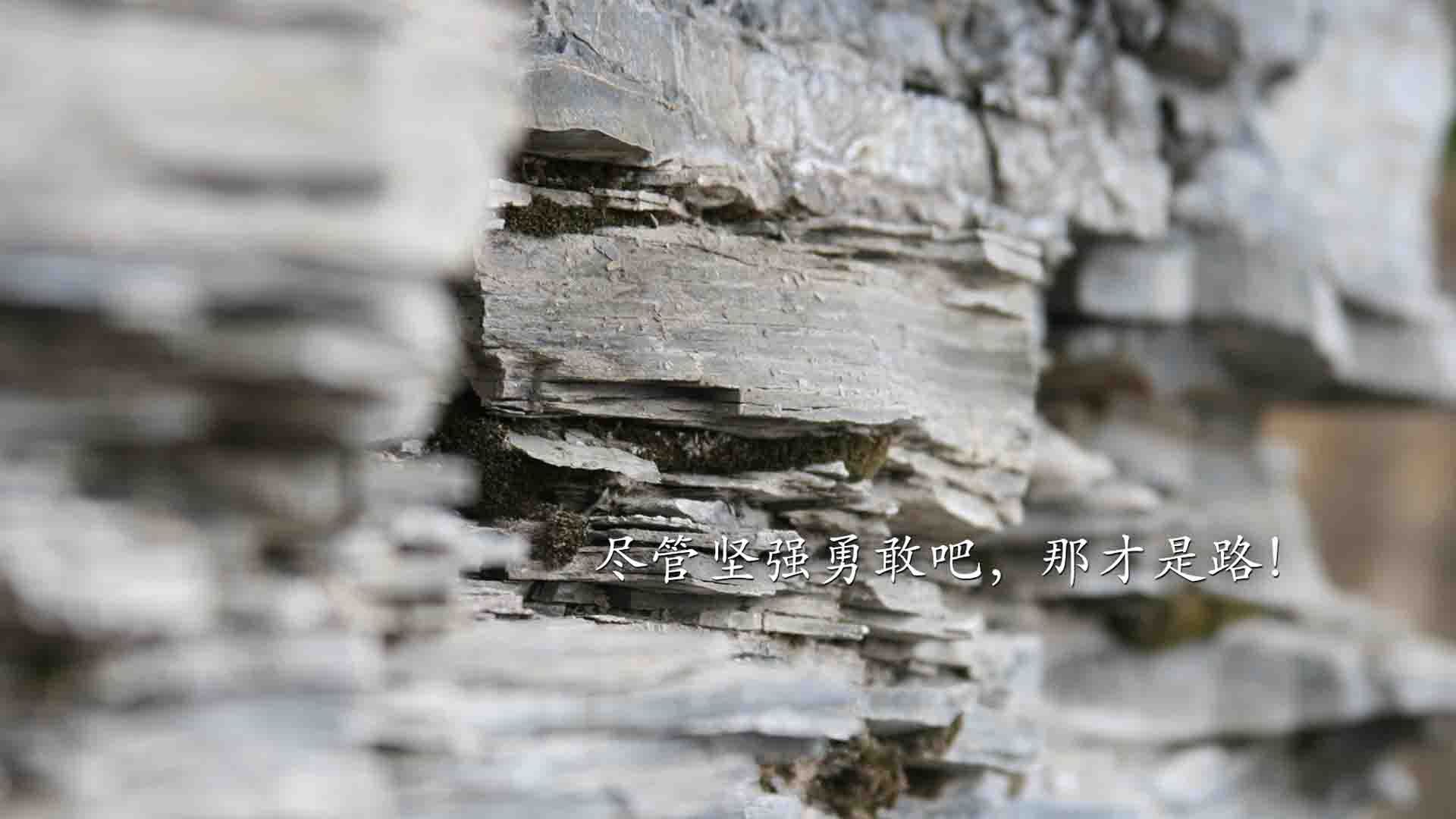 “足球志愿者服务队伍火焰熊熊,助力赛事顺利进行”,足球比赛志愿者需要干什么