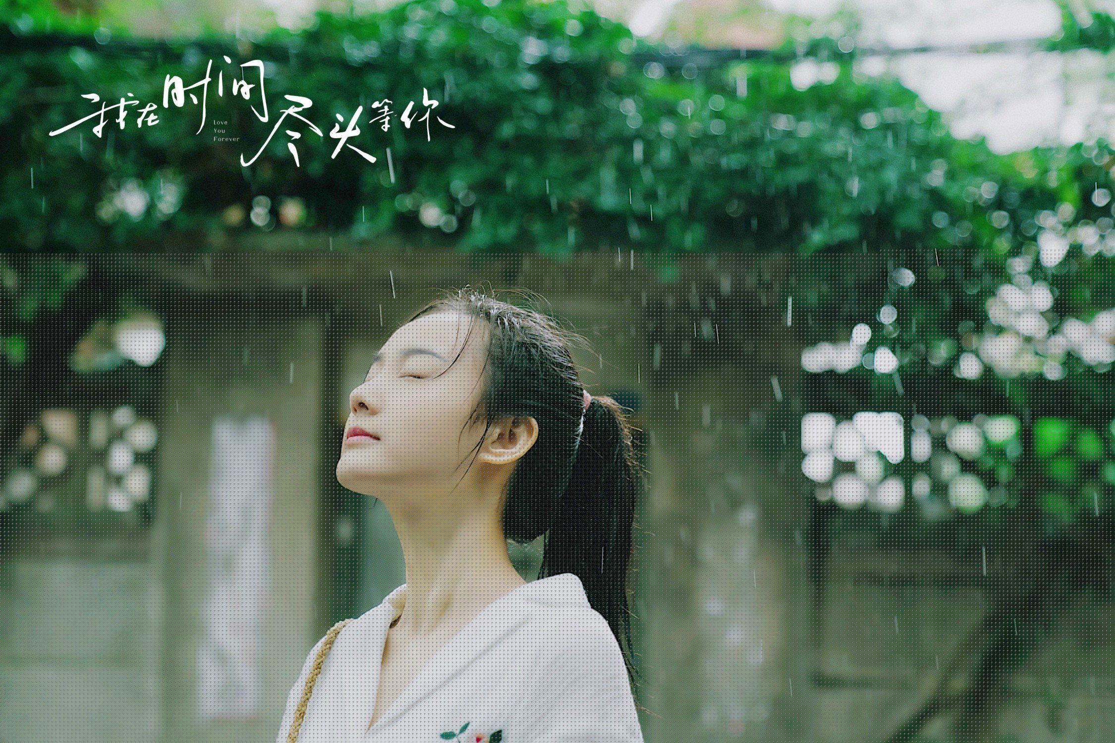 篮球文化活动丰富多彩提升赛事氛围,篮球文化主题说明