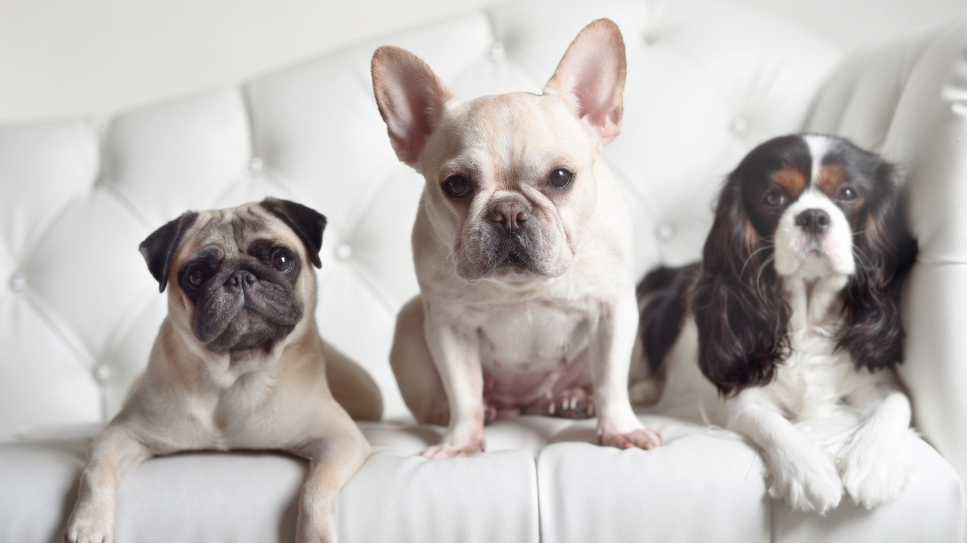 开云官方网站-精彩逆转：比赛中的经典“圈粉瞬间”，nba经典逆转