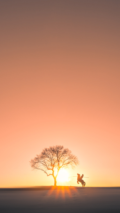 联合国体育组织推动中国篮球“走出去”,交流合作不断深化,国际篮球联合会成立