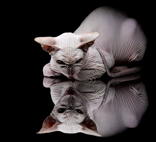 开云体育APP下载-英超俱乐部商业赞助持续增加，财力雄厚，英超俱乐部能盈利吗