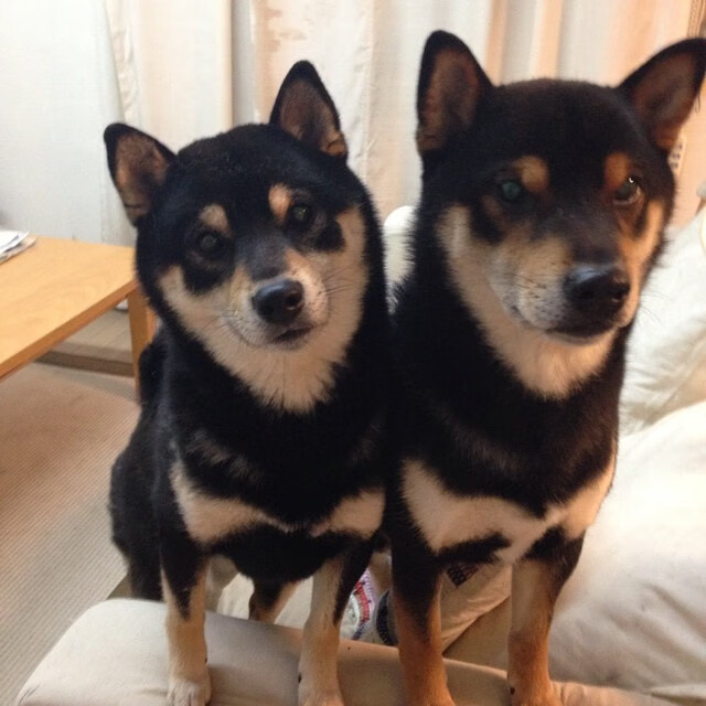 kaiyun网站-高额转会费背后：投资带来的回报？，转会费怎么算