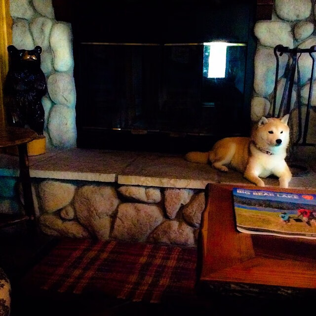 kaiyun网站-北京国安新援首秀破门，助球队取胜，北京国安引进的新外援的最新消息