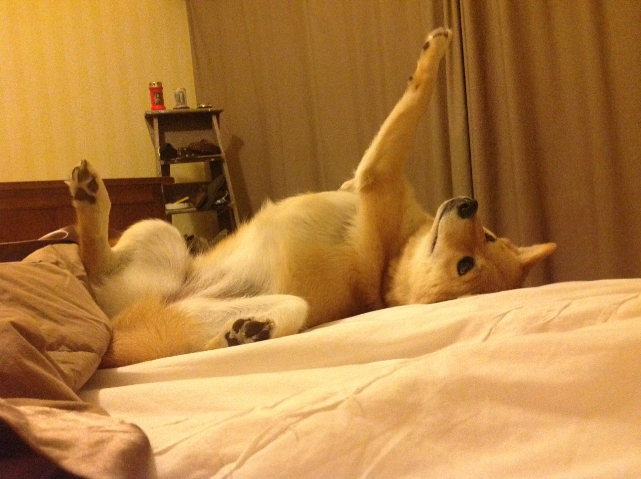 开云官网APP下载-多特突然离队，俱乐部踢球选手书写新篇，多特卖球员