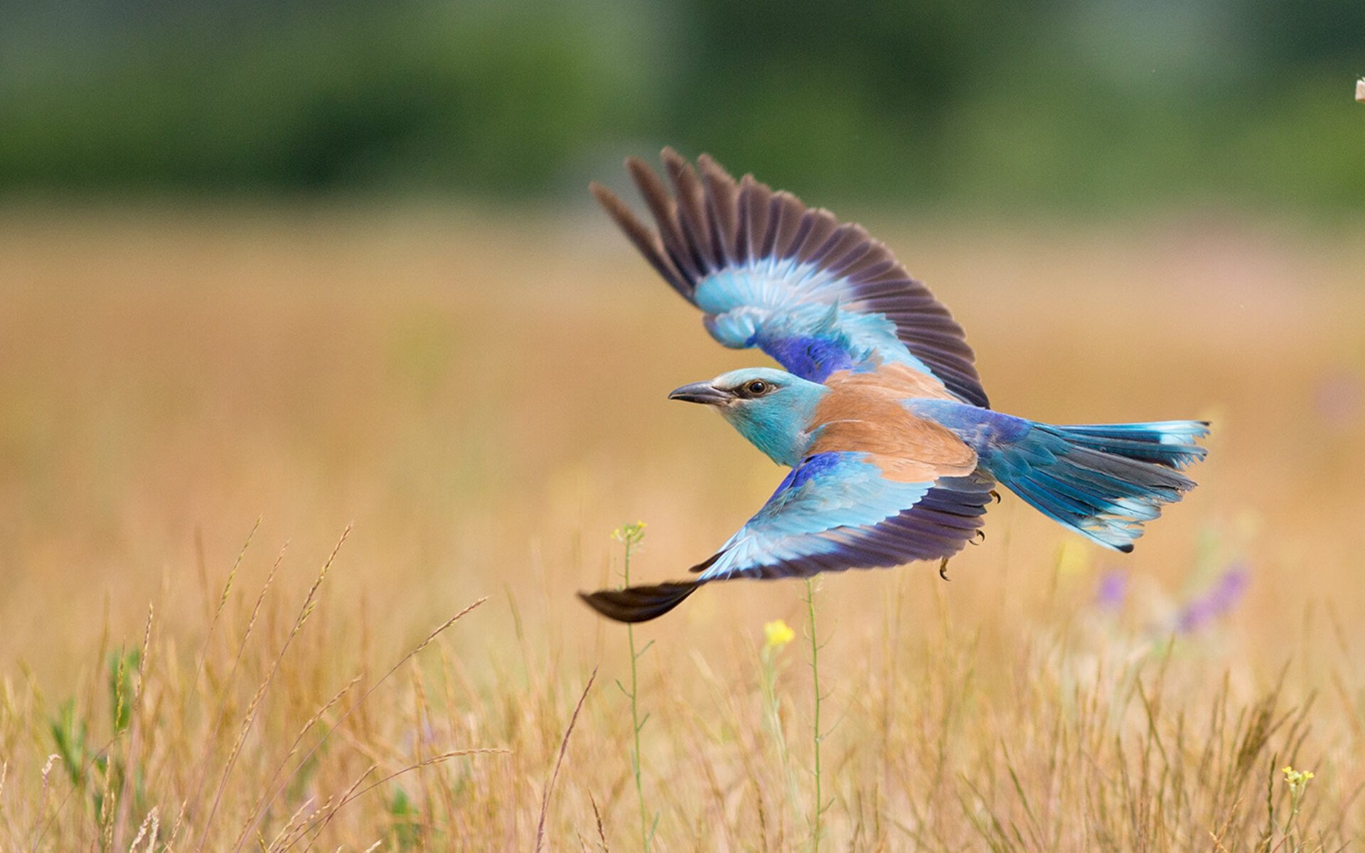 开云kaiyun-姆巴佩续约巴黎圣日耳曼至2026年，姆巴佩在巴黎几号