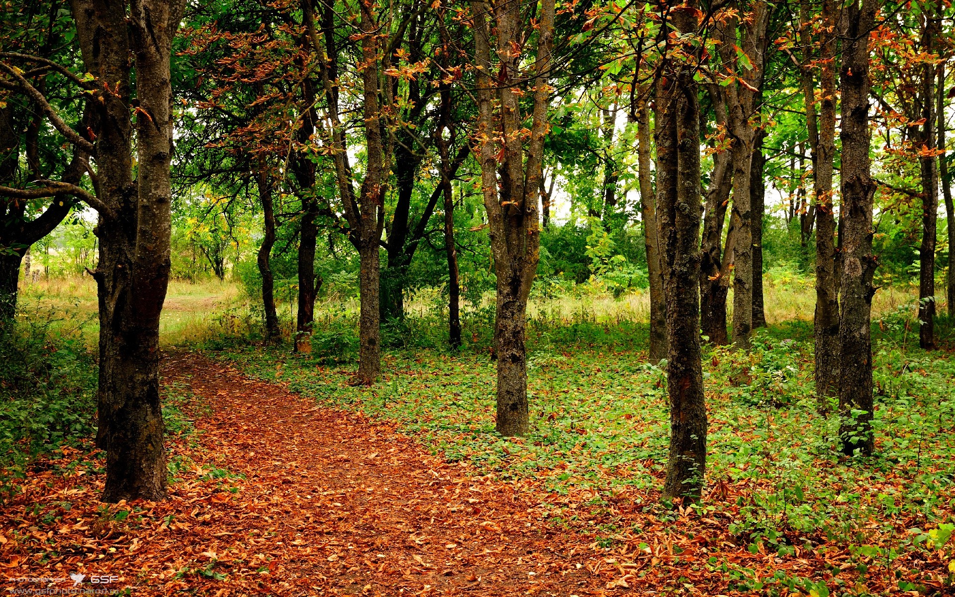 是否应为年轻球员设立海外适应辅导机制