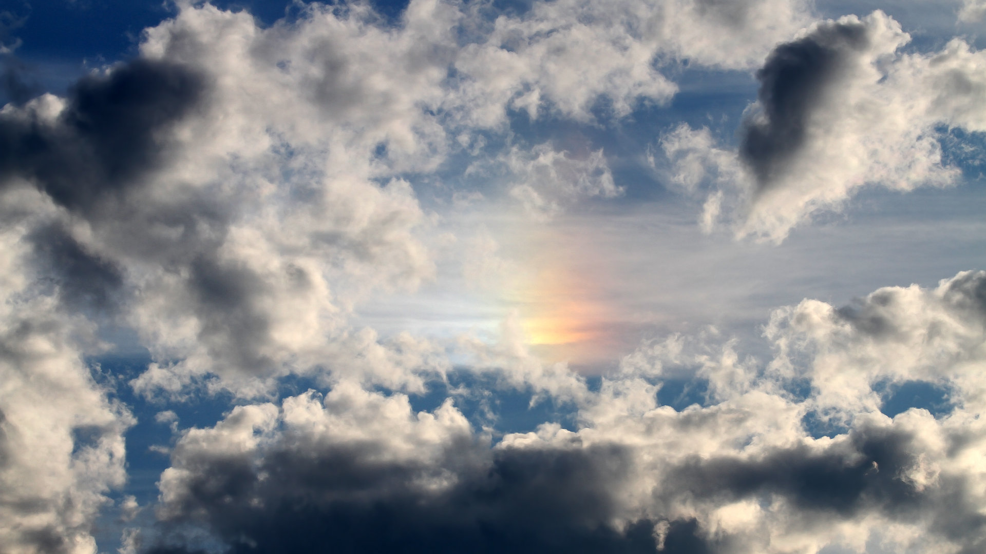 汉堡SV客场被击溃,降级形势堪忧,汉堡single double