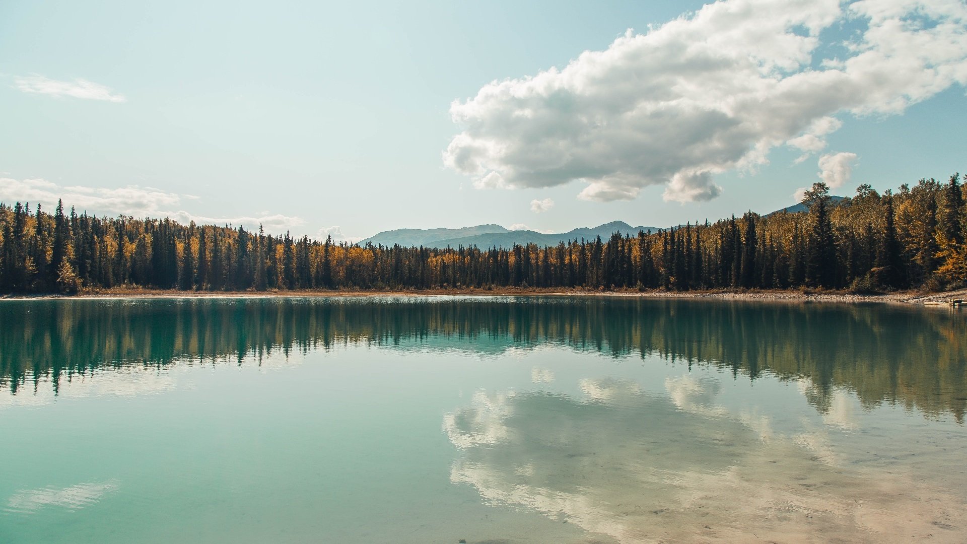 KAIYUN 中国大陆-浙江广厦球队主场战绩持续提升，浙江广厦球队主场在哪里