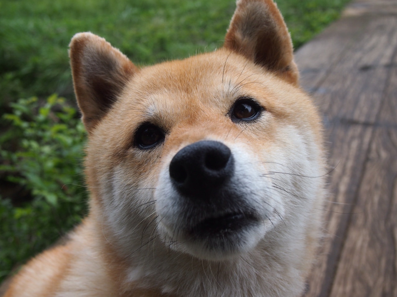 kaiyun官方入口登录-球员跳出合同是否说明信任缺失，nba跳出合同重新签约