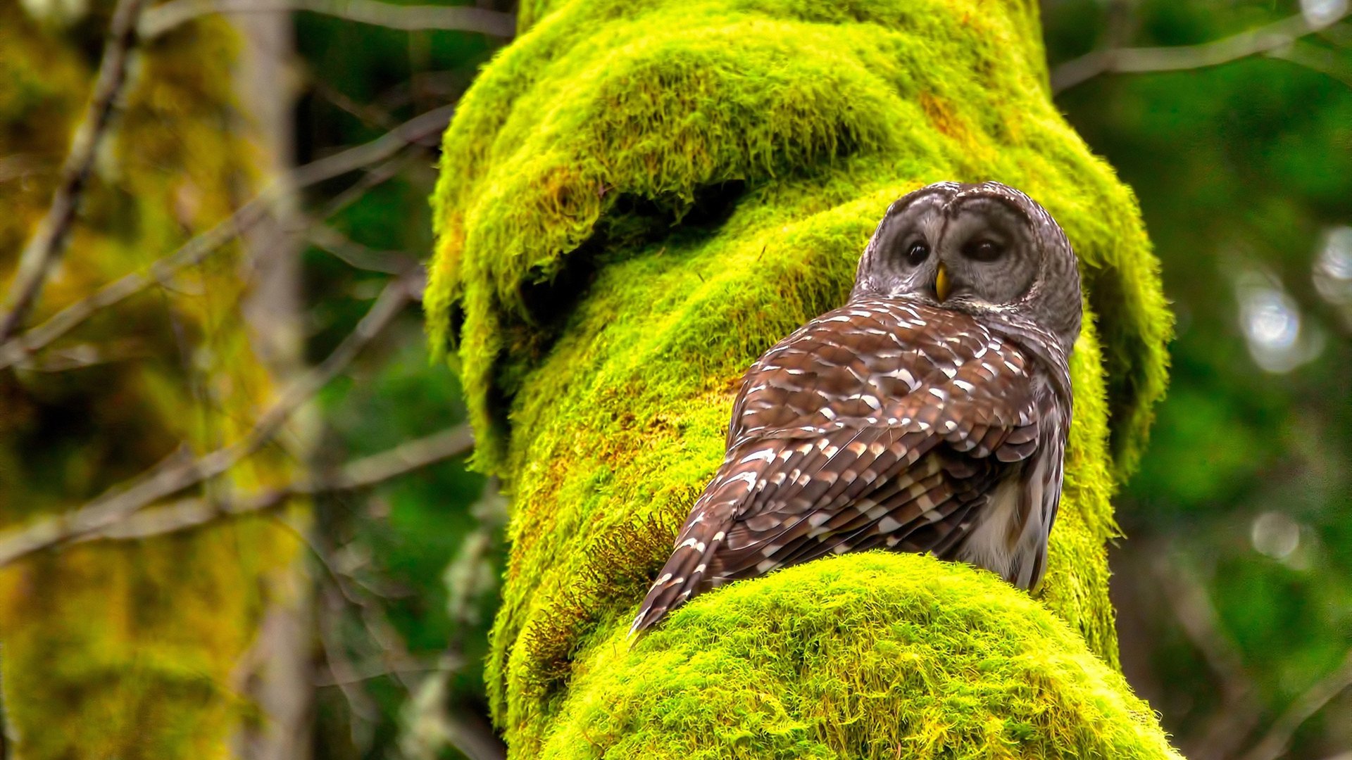 Kaiyun(中国)开云-球员是否应参与青少年网络安全教育，球员是否应参与青少年网络安全教育的活动