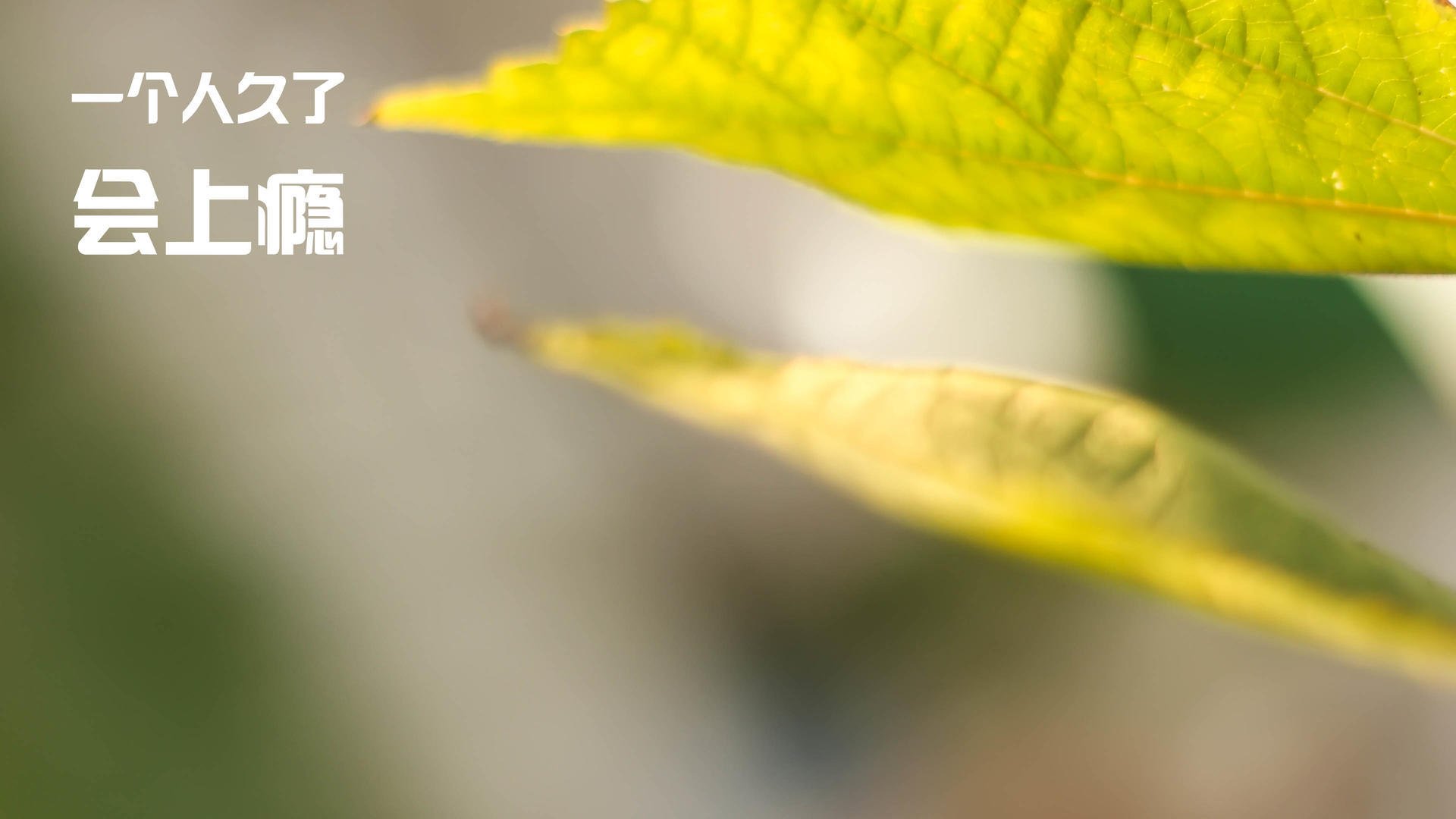 电竞直播平台多渠道运营模式及内容创作创新案例分析,电竞直播行业现状