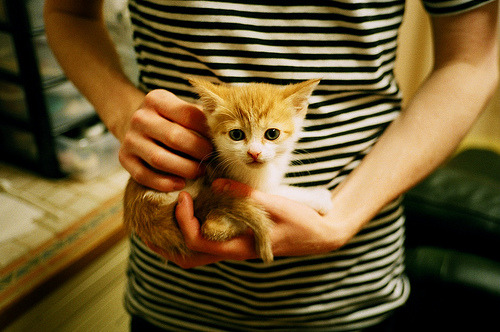 青少年篮球联赛规范管理,青少年篮球队