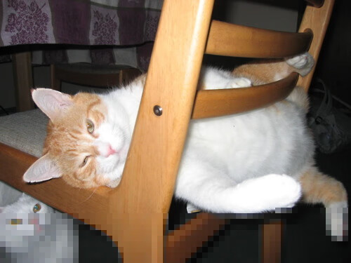 中国足球年度战术视频分析内容频次统计,中国足球战术风格