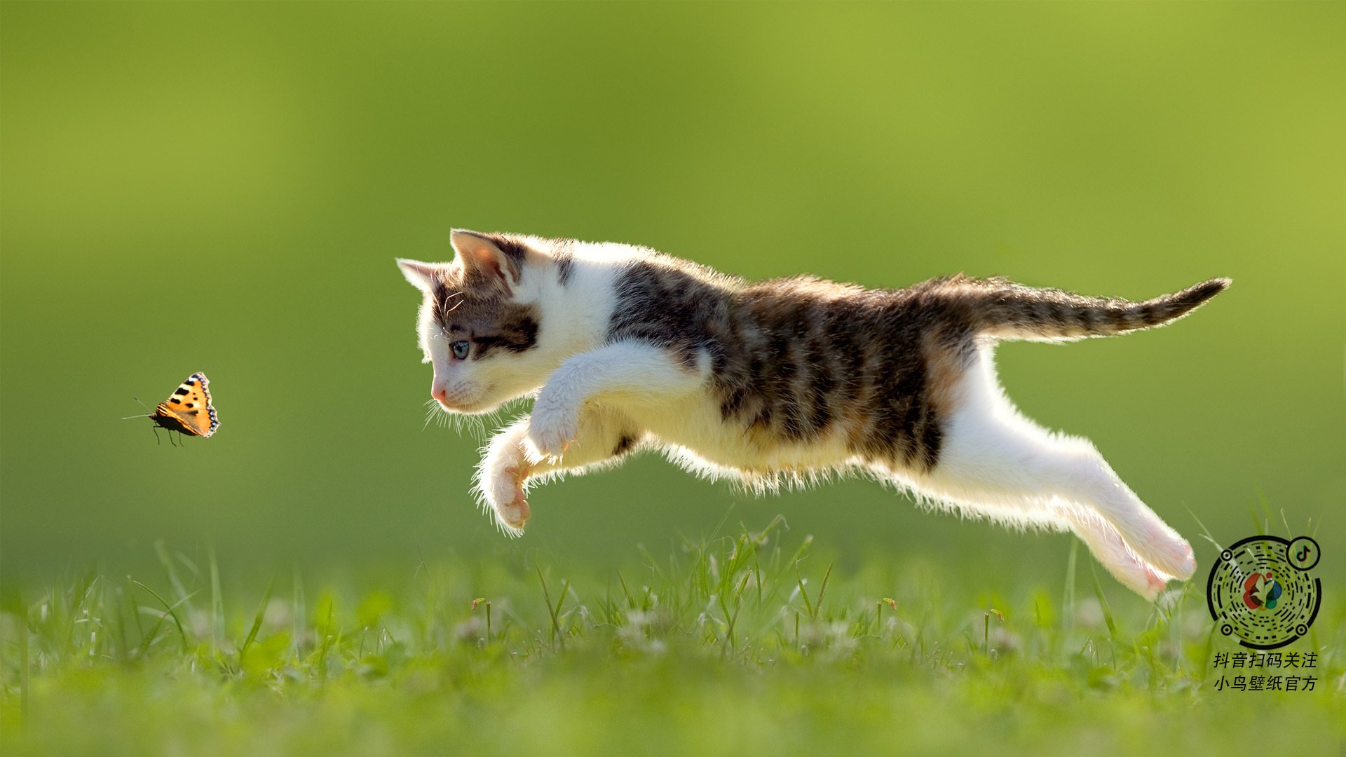 瑞典队未来规划:培养顶尖球员,发展乒乓运动,瑞典乒乓球名将有哪些