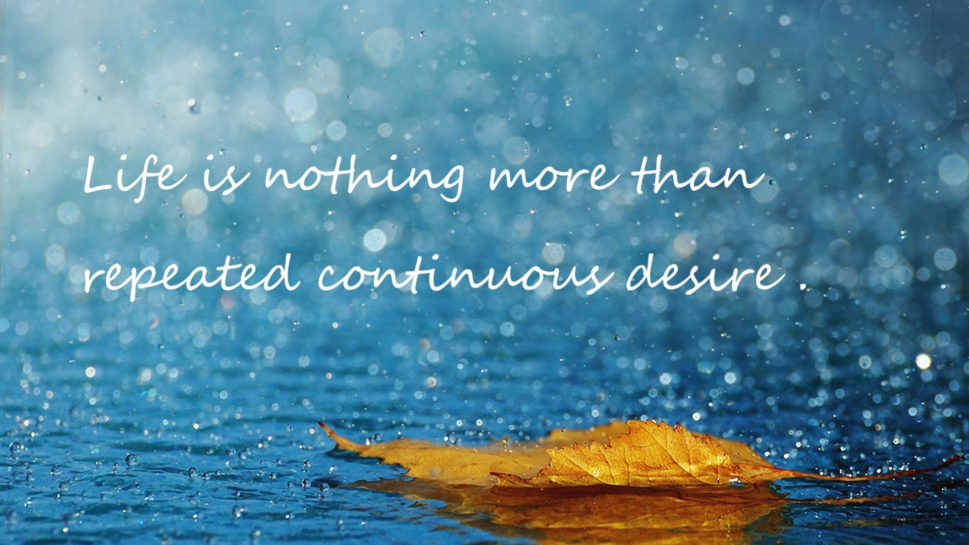 开云体育-高节奏打法是否更依赖多点开花的进攻体系，快节奏进攻