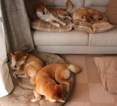 “马科斯·莫奇的全能防守，帮助阿根廷美洲狮队实现全球崛起”