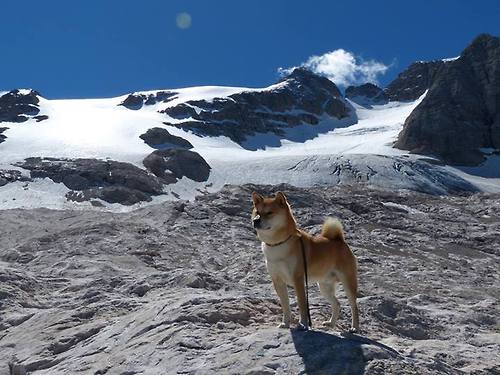 德甲连续进攻:攻势如潮,令人叹为观止,德甲多少场次