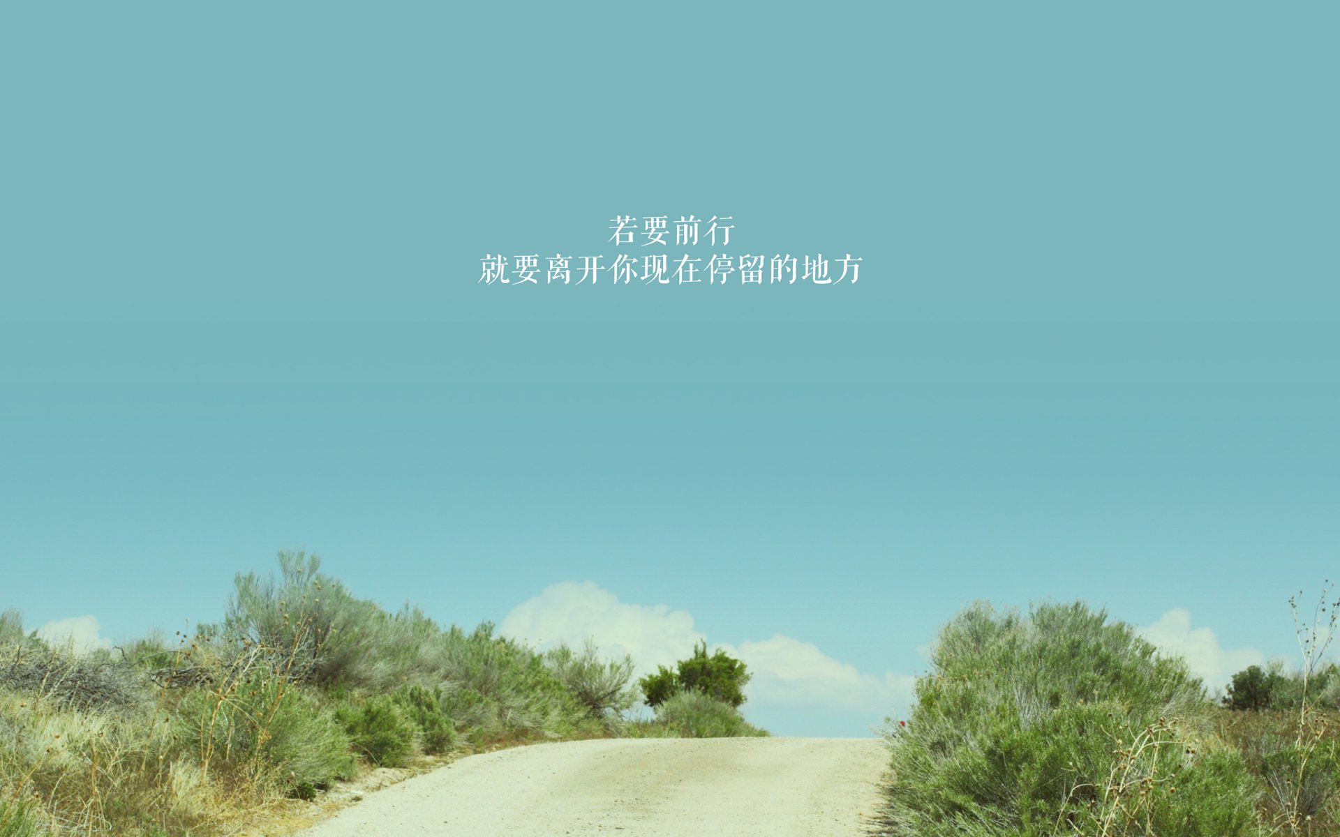 校园足球搭建学生战术论坛提升互动与学习氛围,大学足球战术