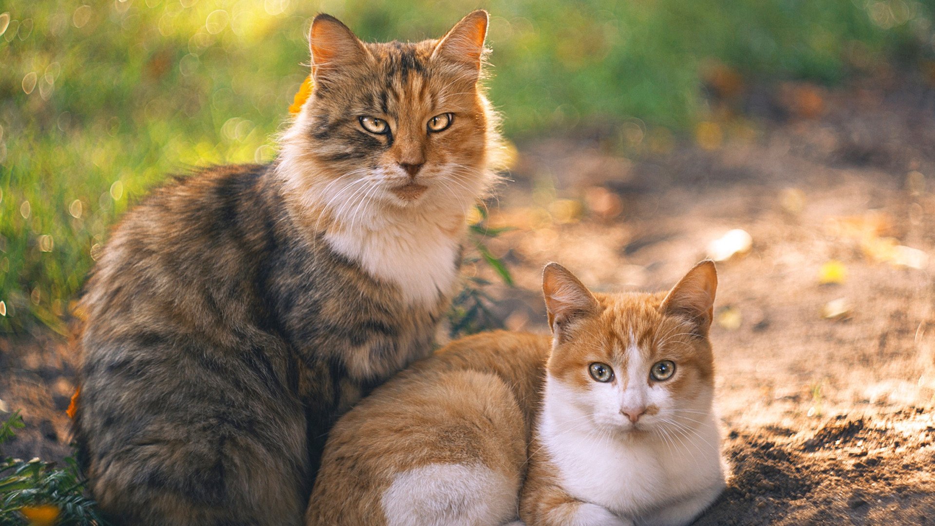 开云体育-欧洲杯宿命对决：战术变化引领新风尚！，数说欧洲杯