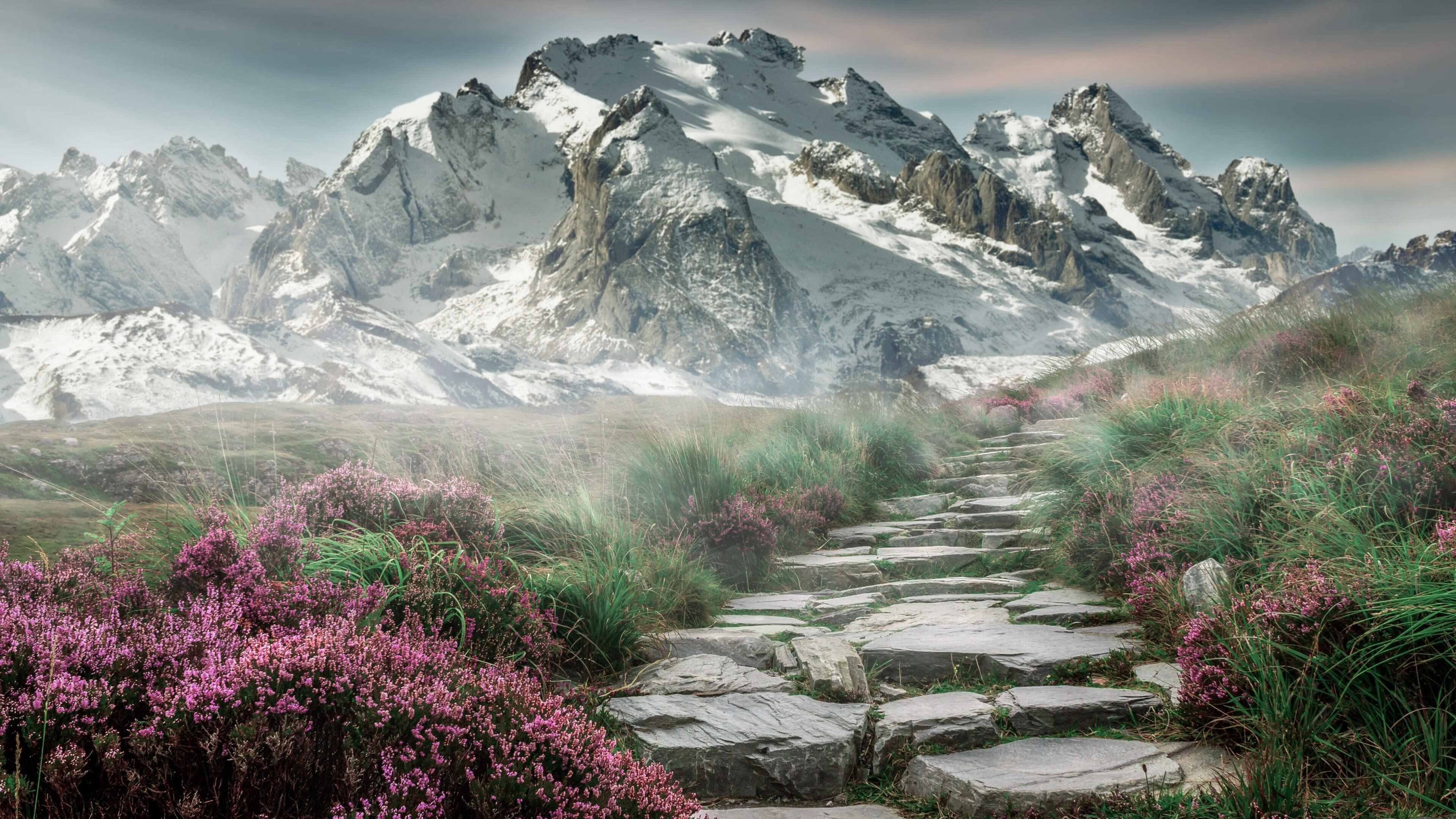 步行者后场表现出色帮助球队上升排名,步行者得分后卫