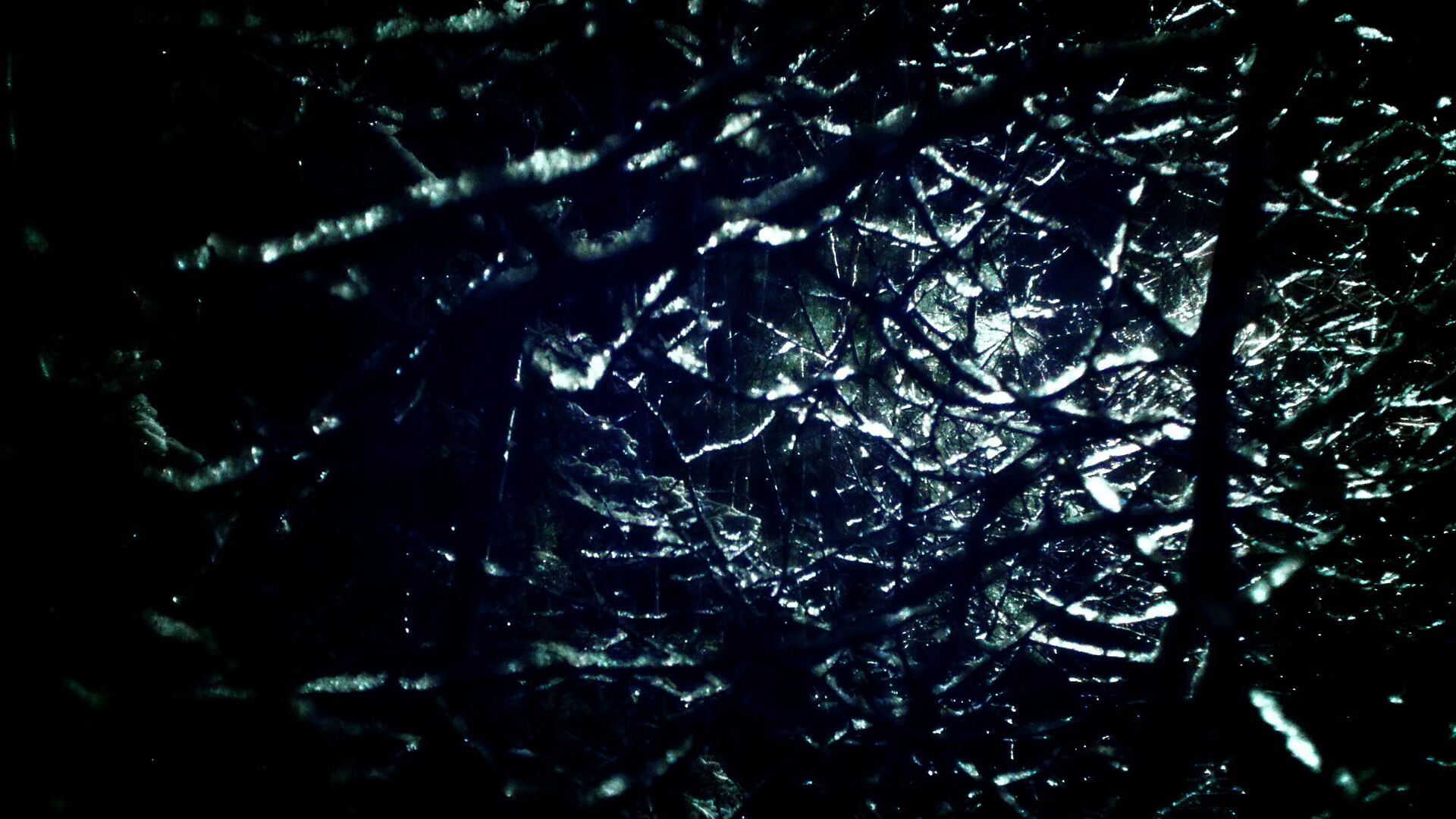 皮特·卡普尔的爆发力与敏捷性让袋鼠队攻守平衡更有保障,卡尔皮纳袋鼠