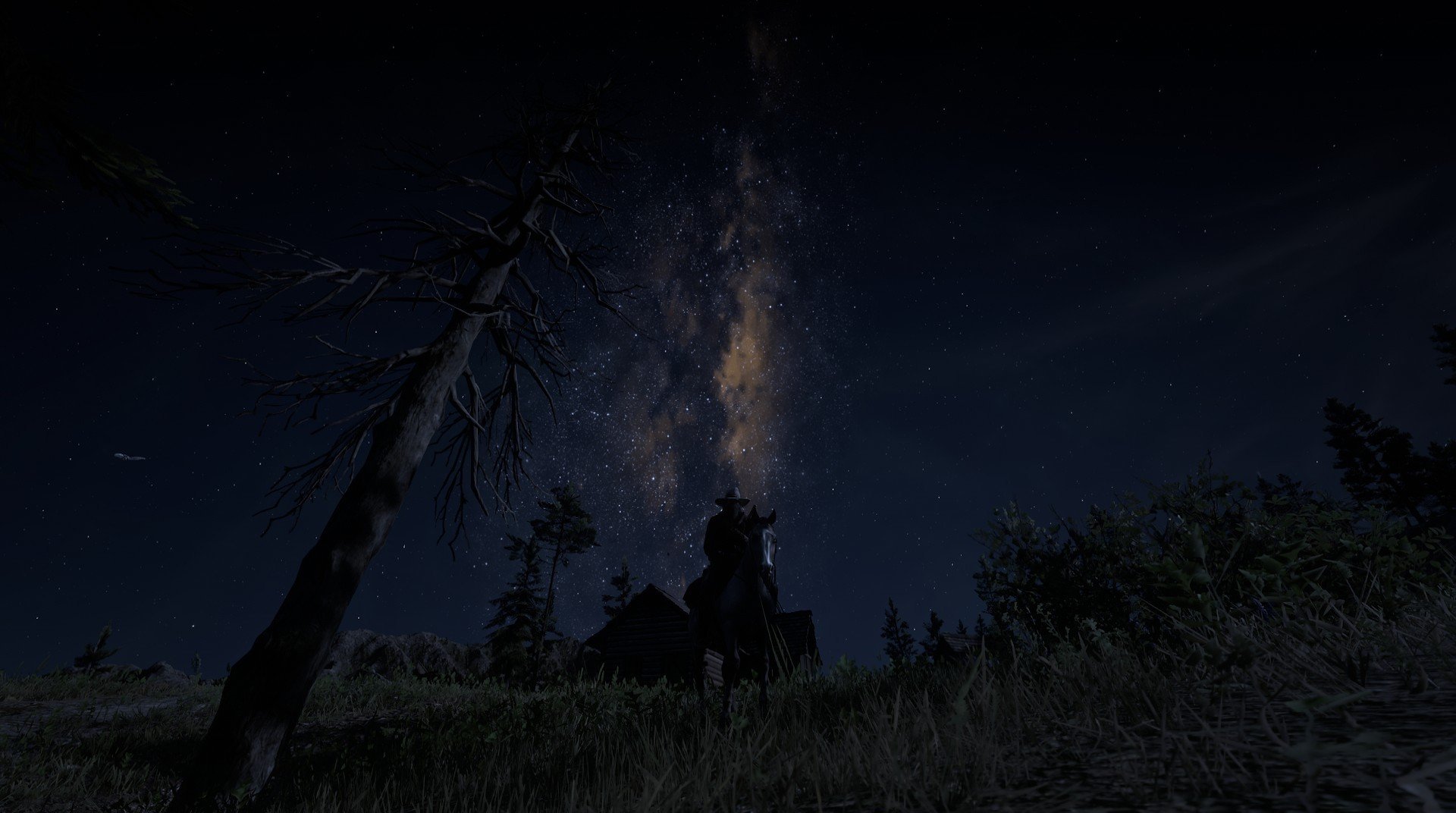 开云kaiyun-莱德基女子800米自由泳决赛表现稳健，莱德基200米自由泳