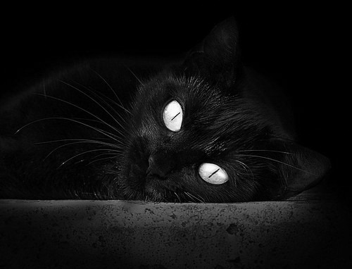 青少年体育培训政策调整,青少年体育培训政策调整方案